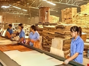 ɽ�|�Y�Yľ�I(y��)����ľ�I(y��)�ӹ�